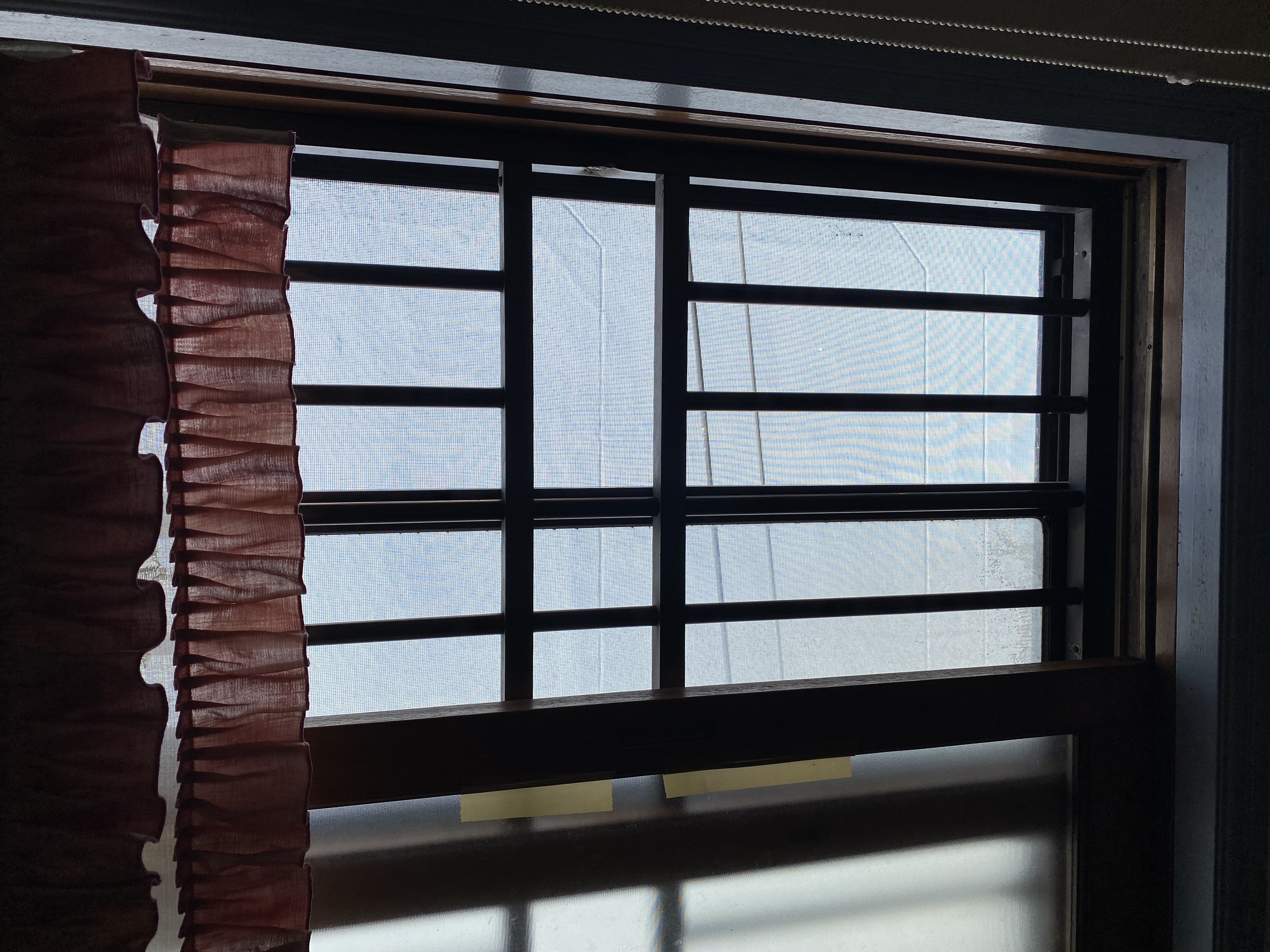 업로드된 이미지