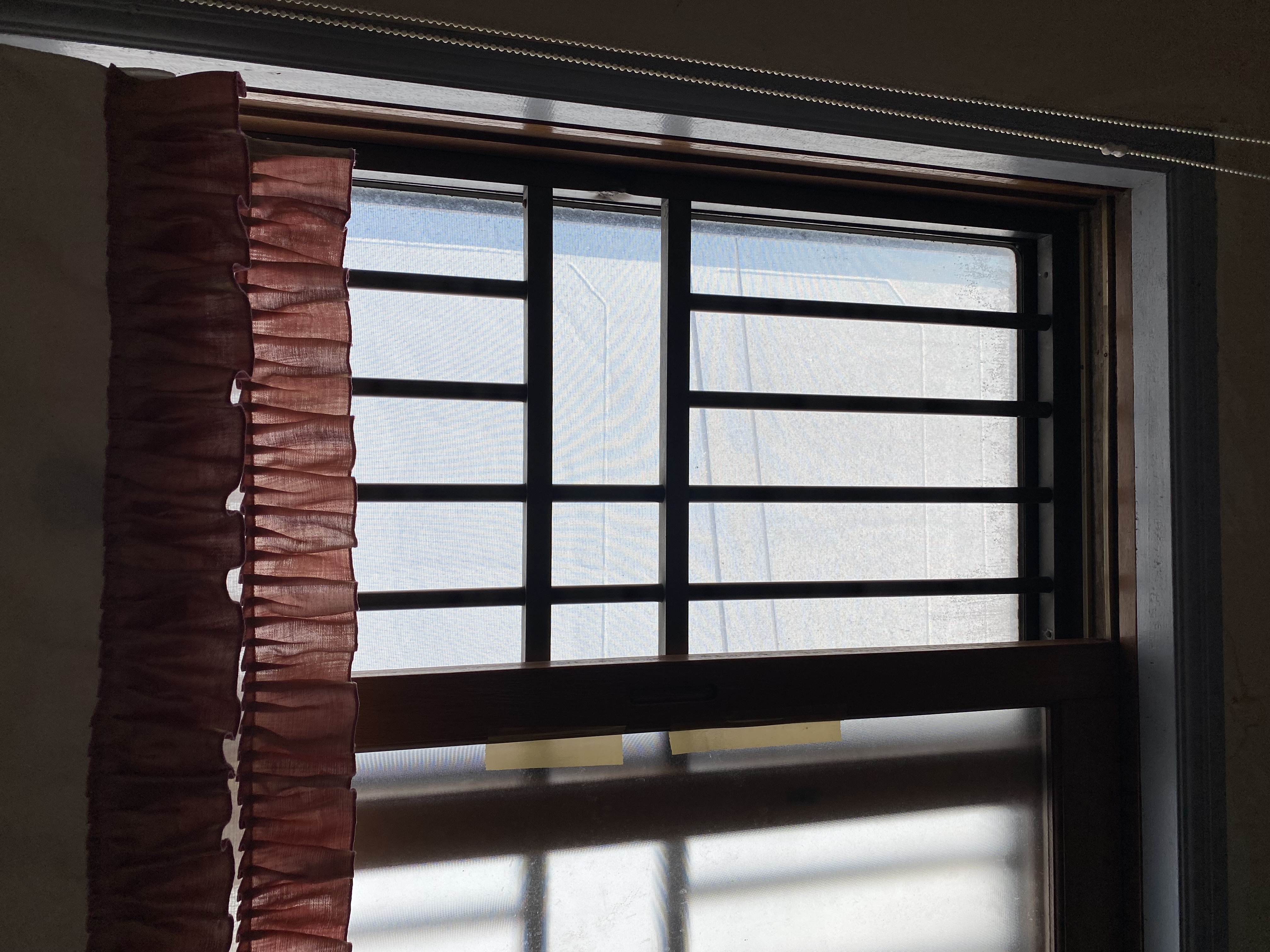 업로드된 이미지